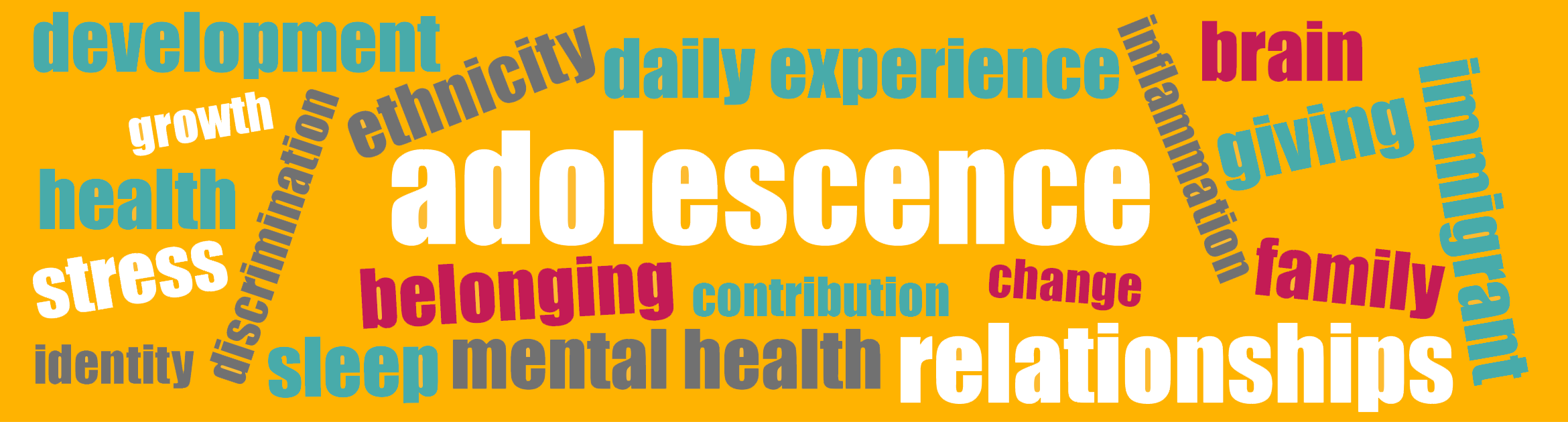 word cloud banner
